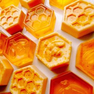 Meet your Posher, maya!